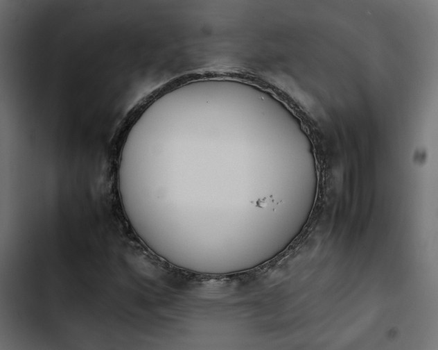 X0000103941160200809261719
