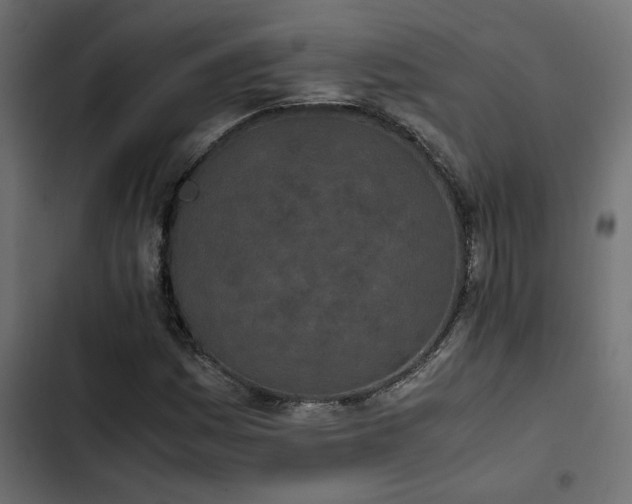 X0000103941161200809261719