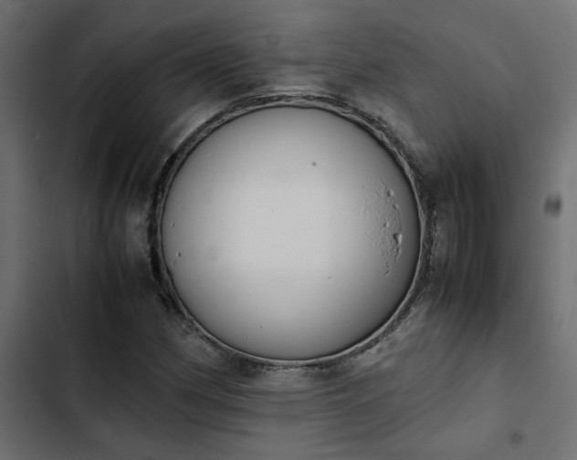 X0000103941162200809261719