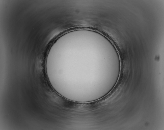 X0000103941163200809261719