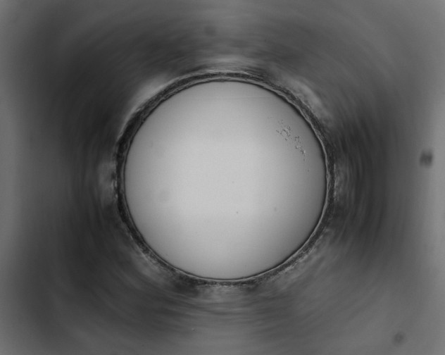 X0000103941164200809261719