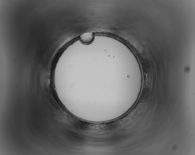 X0000103941165200809261719
