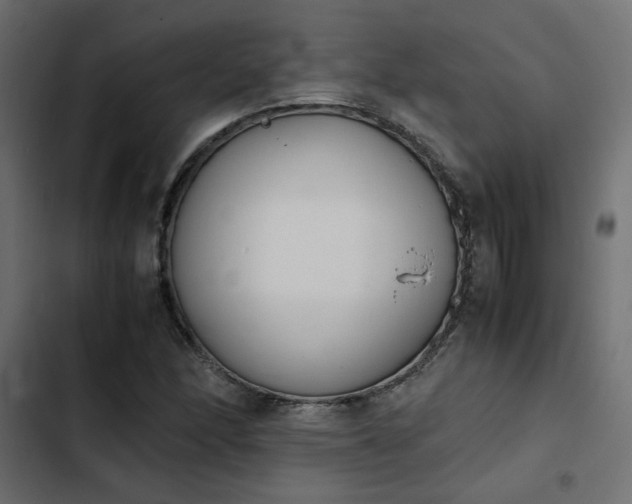 X0000103941166200809261719