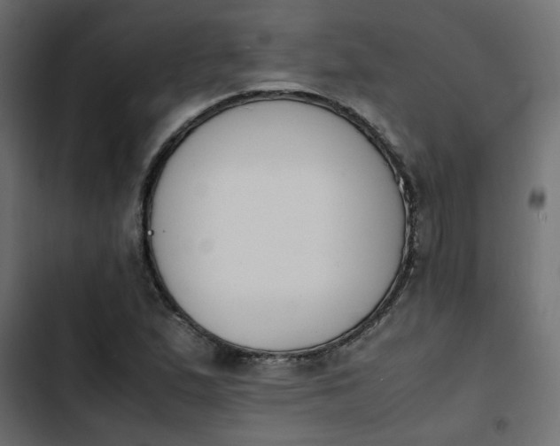 X0000103941167200809261719