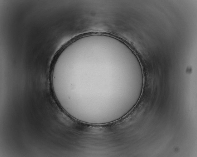 X0000103941168200809261719