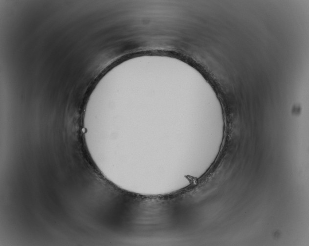 X0000103941169200809261719