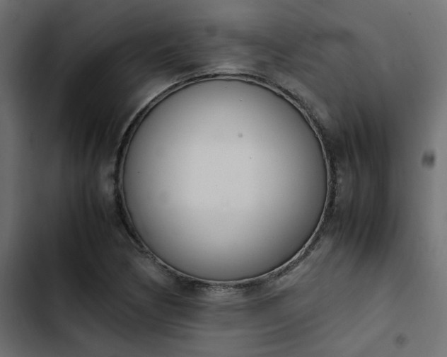 X0000103941170200809261719