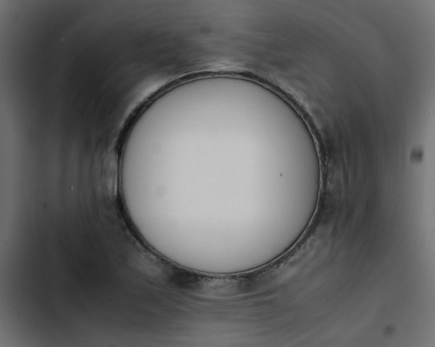 X0000103941171200809261719