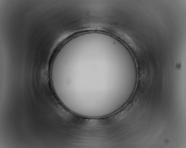 X0000103941172200809261719