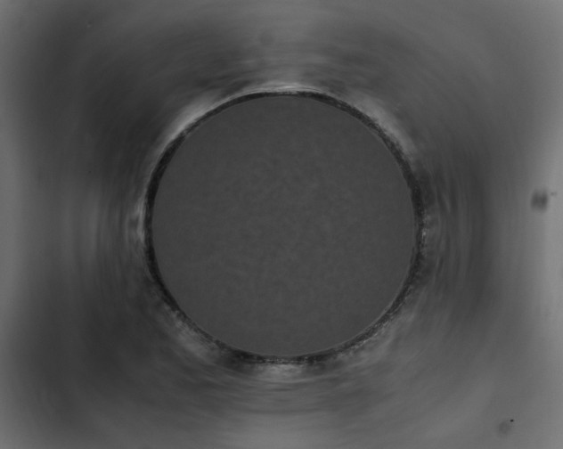 X0000103941173200809261719