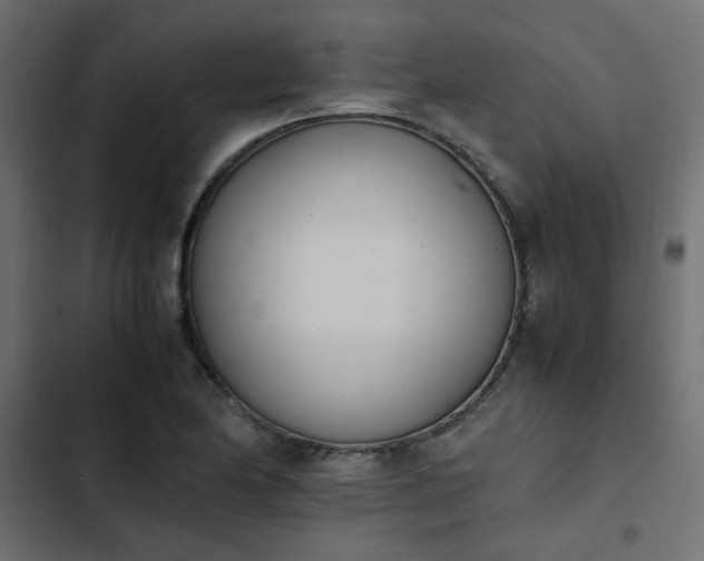 X0000103941174200809261719