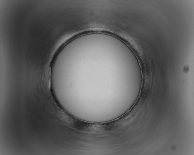 X0000103941175200809261719