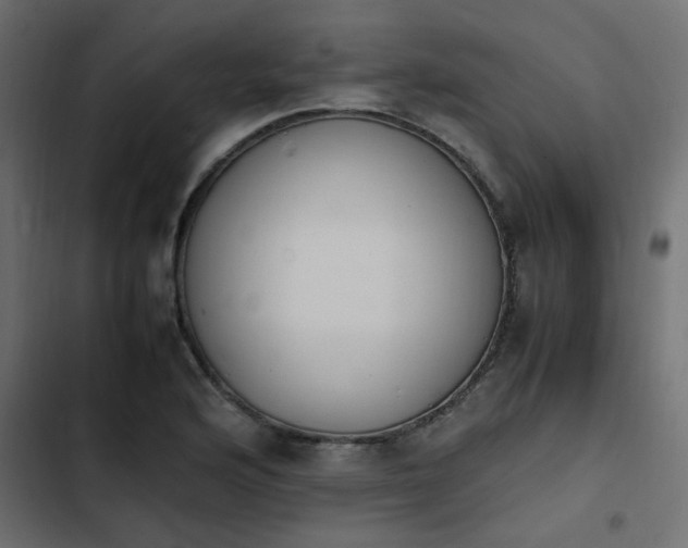 X0000103941176200809261719