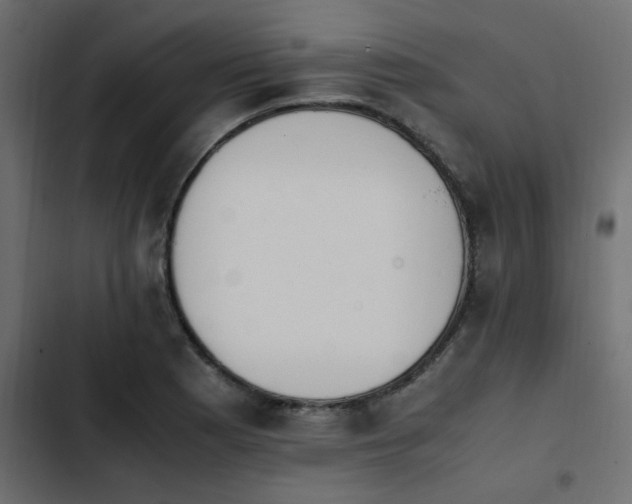 X0000103941177200809261719