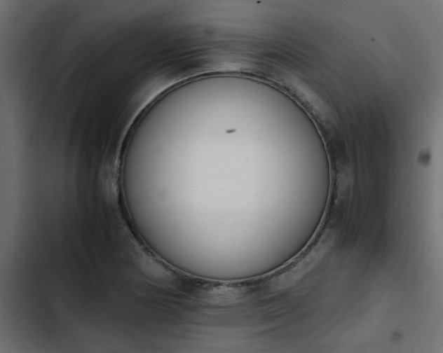 X0000103941178200809261719