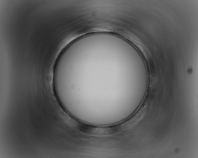 X0000103941179200809261719