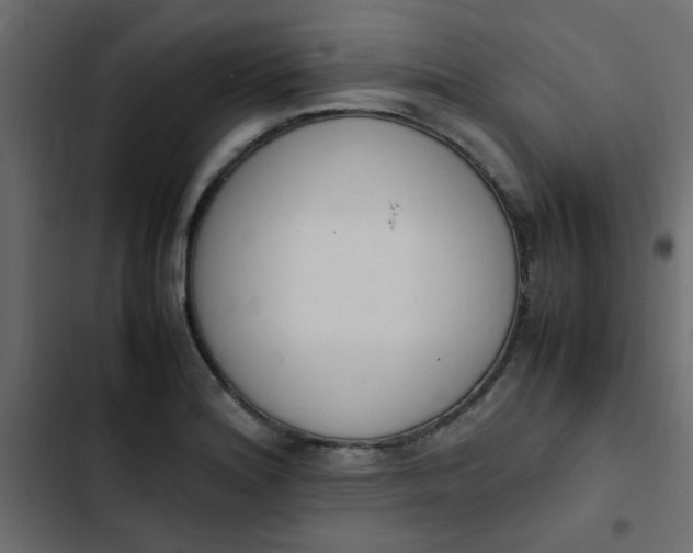 X0000103941180200809261719
