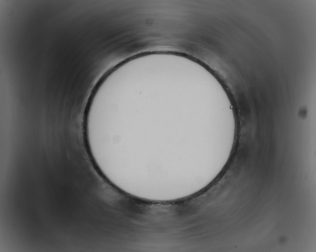 X0000103941181200809261719