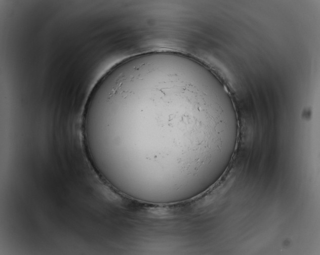 X0000103941182200809261719