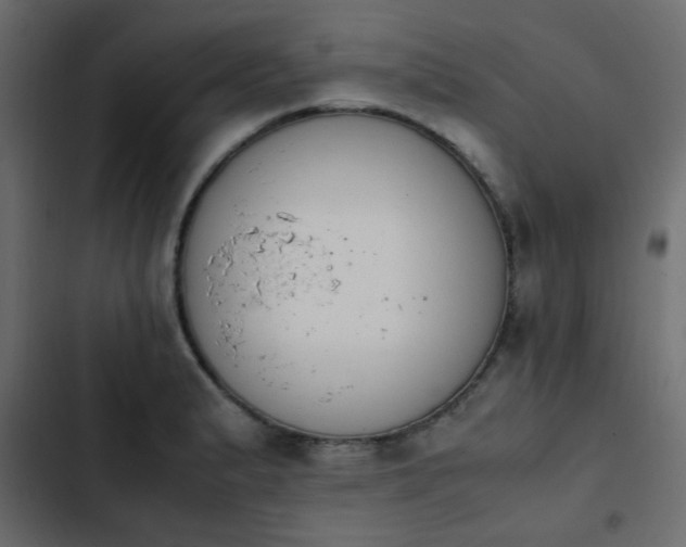 X0000103941183200809261719