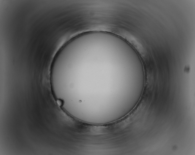 X0000103941184200809261719