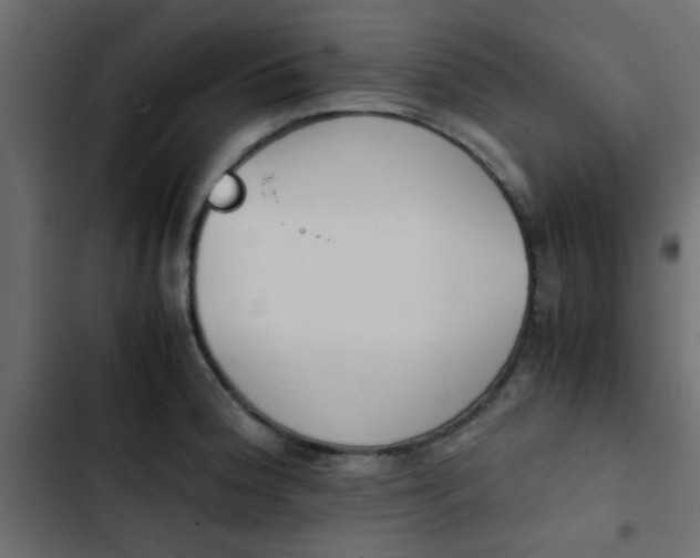 X0000103941188200809261719