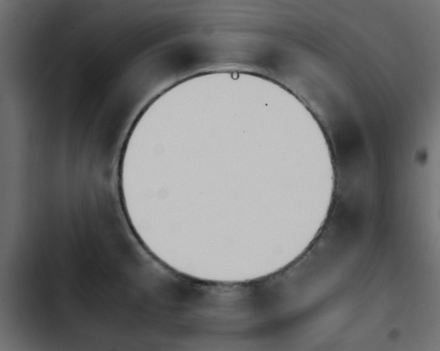 X0000103941189200809261719