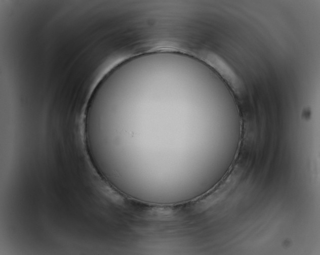 X0000103941190200809261719