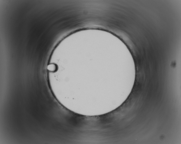 X0000103941191200809261719