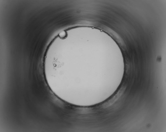 X0000103941192200809261719