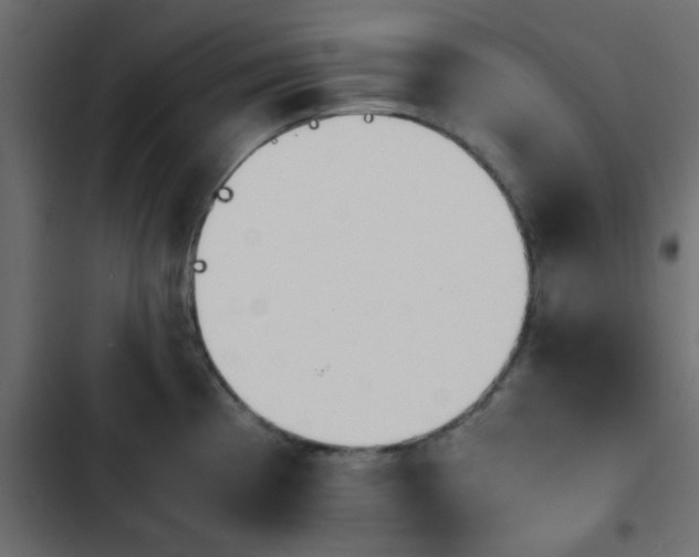 X0000103941193200809261719