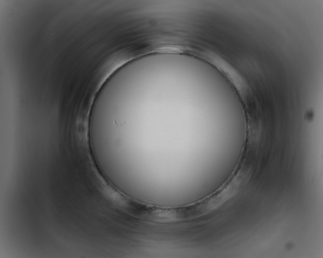 X0000103941194200809261719