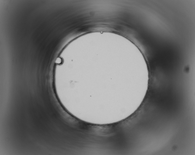 X0000103941195200809261719