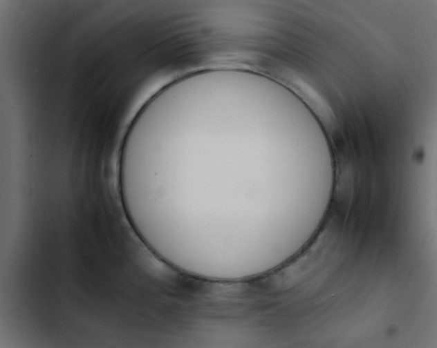 X0000103941196200809261719
