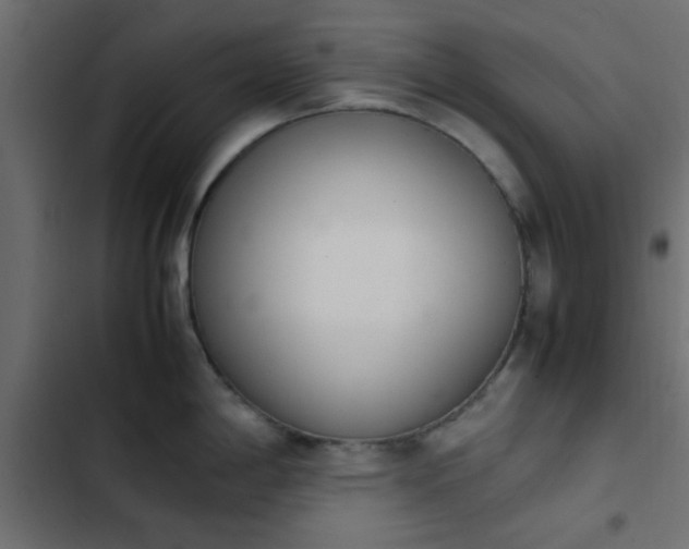 X0000103941198200809261719
