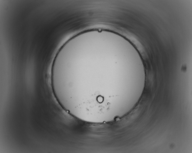 X0000103941199200809261719