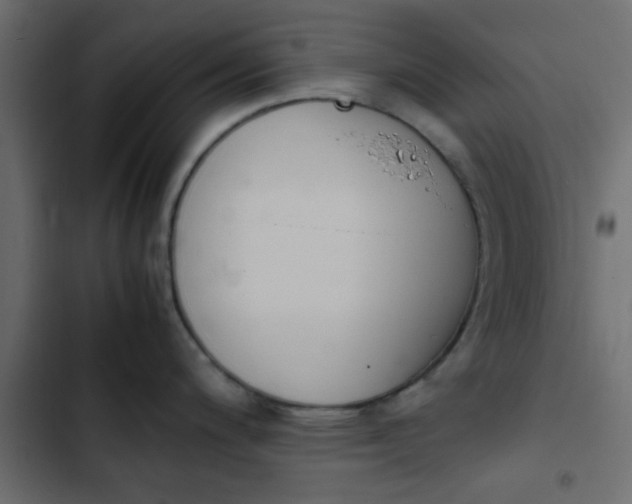X0000103941200200809261719