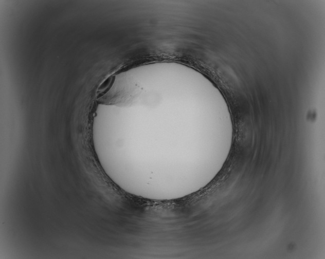 X0000103941201200809261718