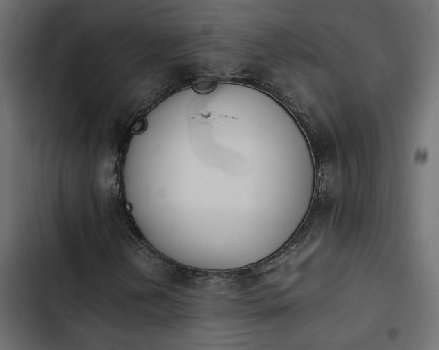 X0000103941202200809261718