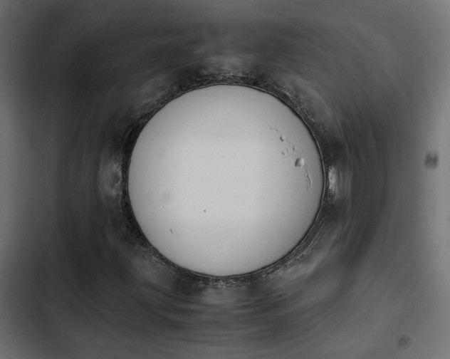 X0000103941203200809261718
