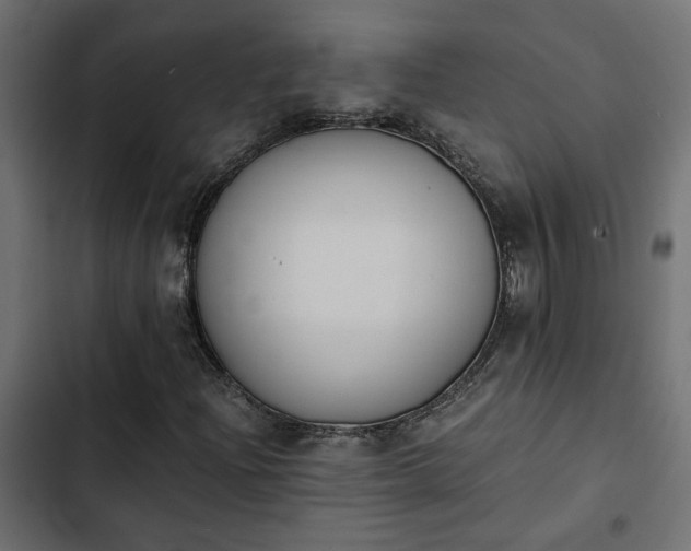 X0000103941204200809261718