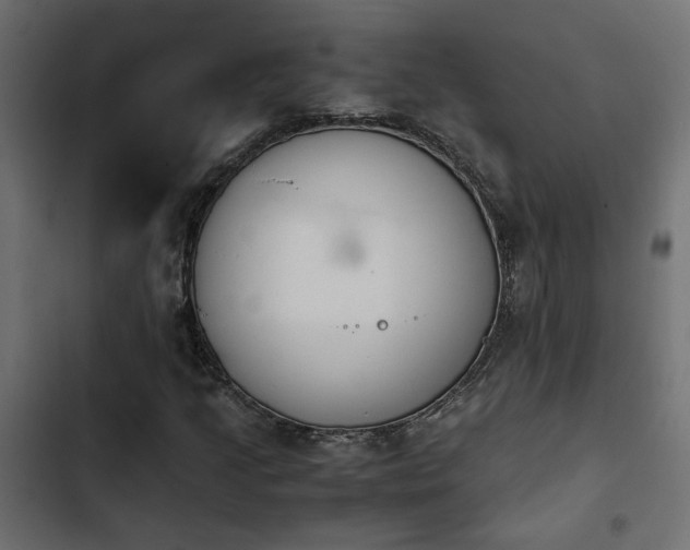 X0000103941205200809261718