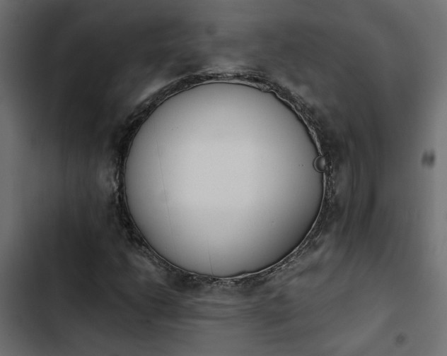 X0000103941206200809261718