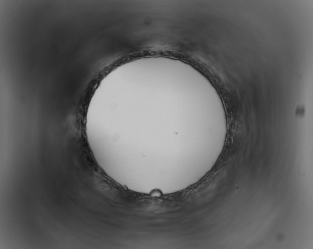 X0000103941207200809261718