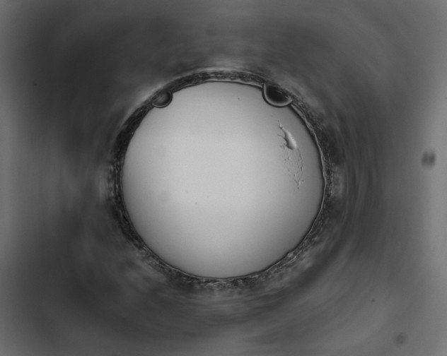X0000103941208200809261718