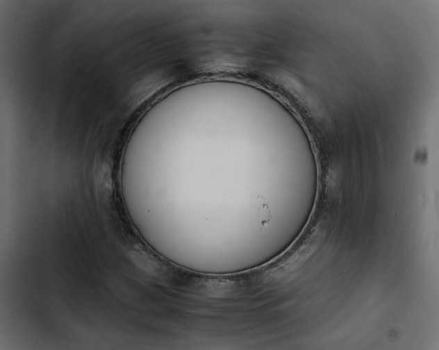 X0000103941209200809261718