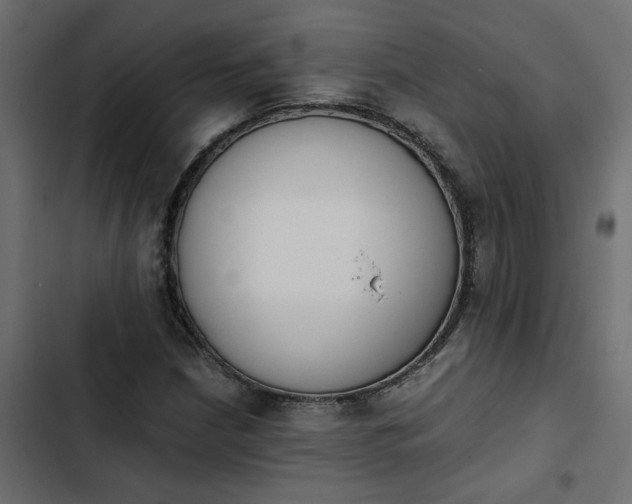 X0000103941210200809261718