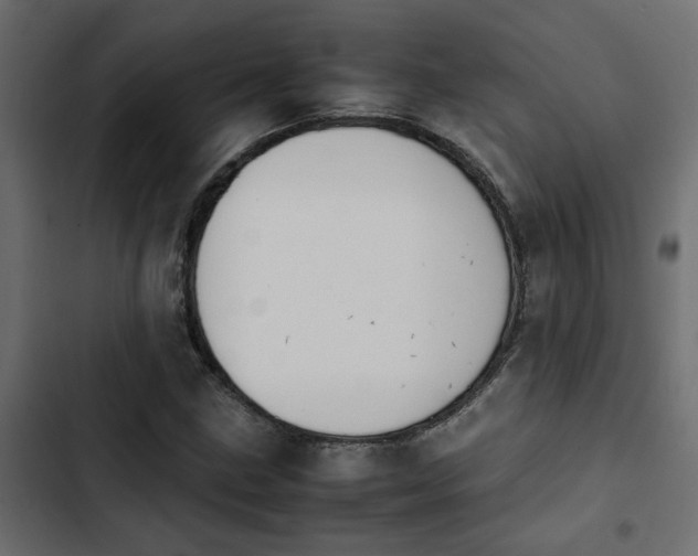 X0000103941211200809261718