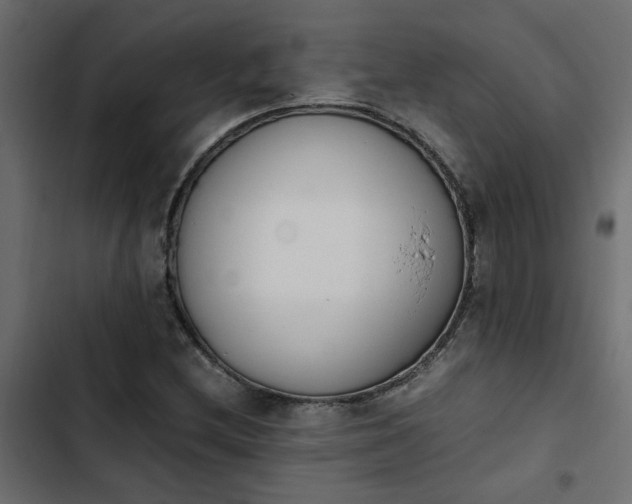 X0000103941212200809261718