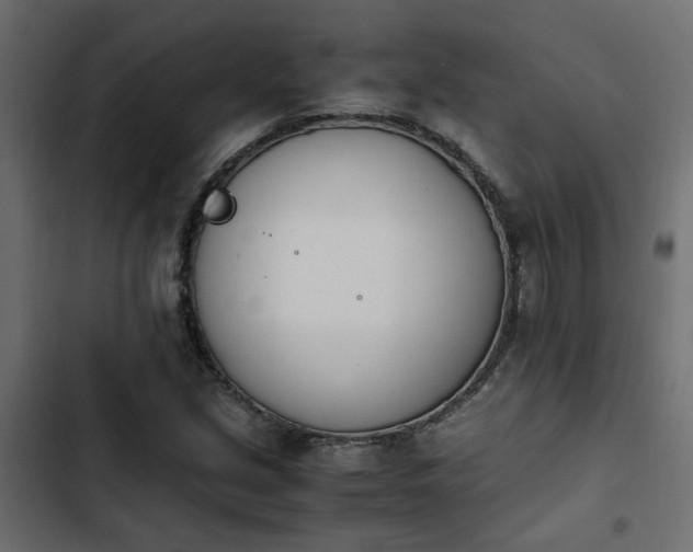 X0000103941213200809261718